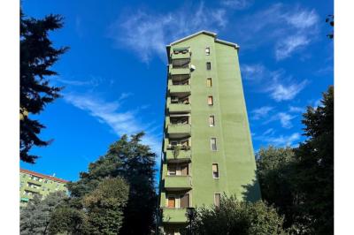 Vencomasina - Immagine# 10